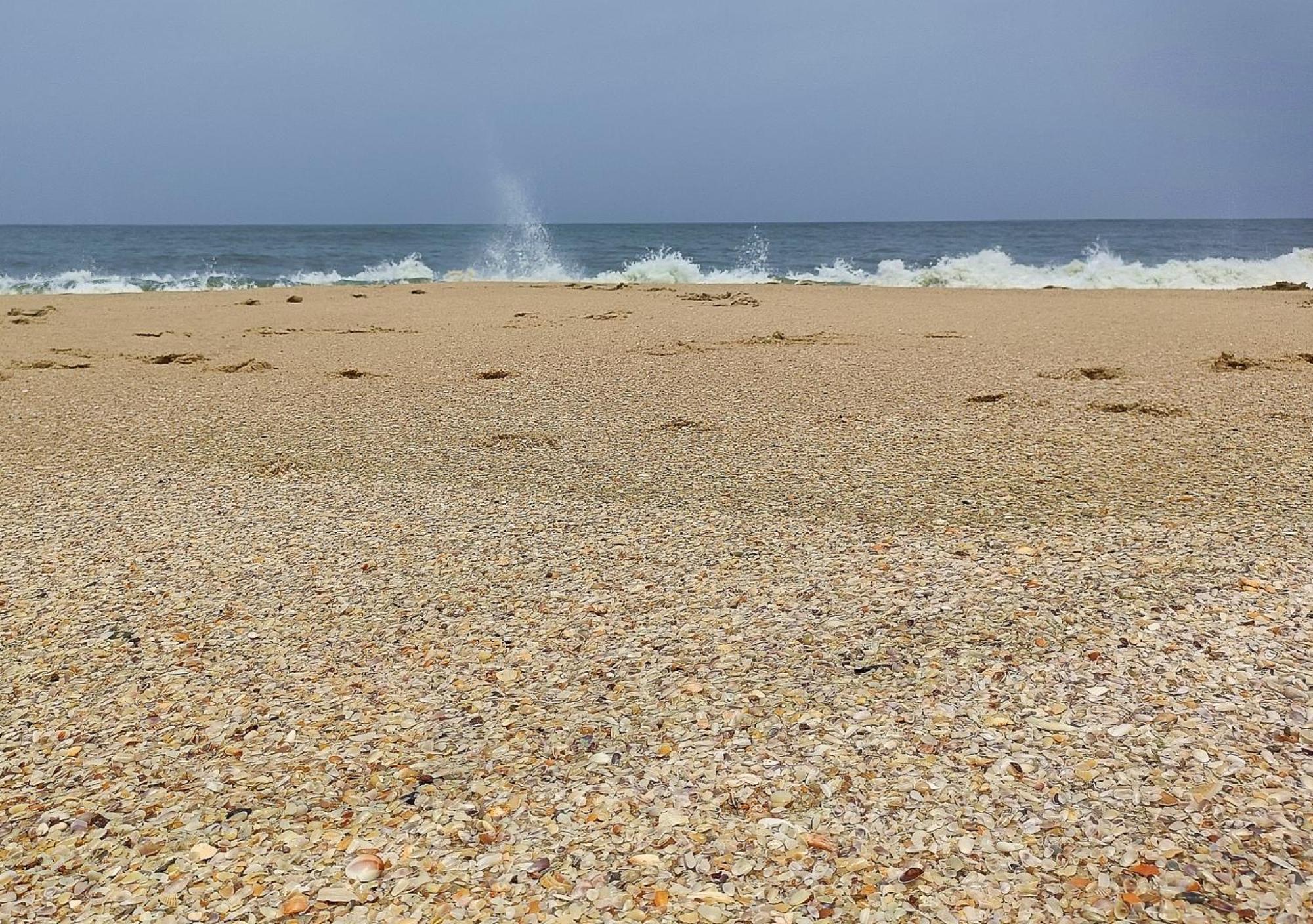 Marari Beach Cleetus Homestay Mararikulam Luaran gambar